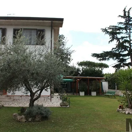 Il Grifo
